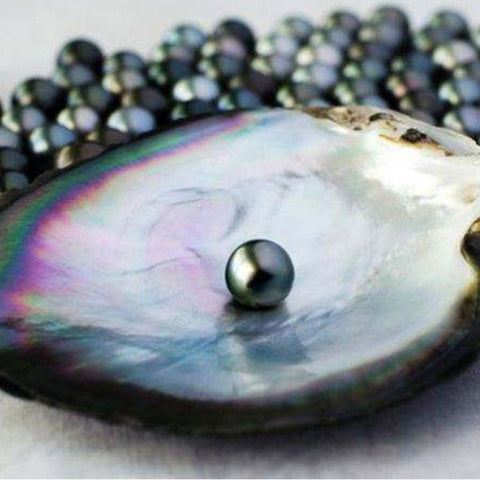 Black Tahitian (1 Single Seawater Pearl)(End Product not Clam Opening) Andrew