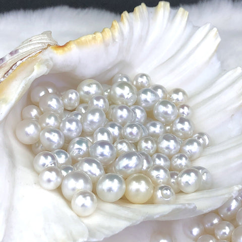 【Sea Water Lover】 Japanese Akaya(1 Sea Water Pure White Round Shape Pearl)